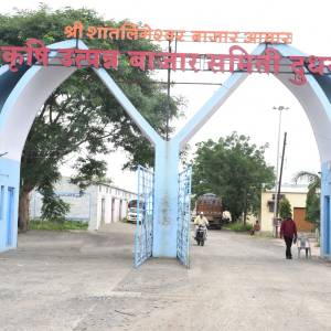 WhatsApp_Image_2025-08-04_at_11.14.28_AM_original